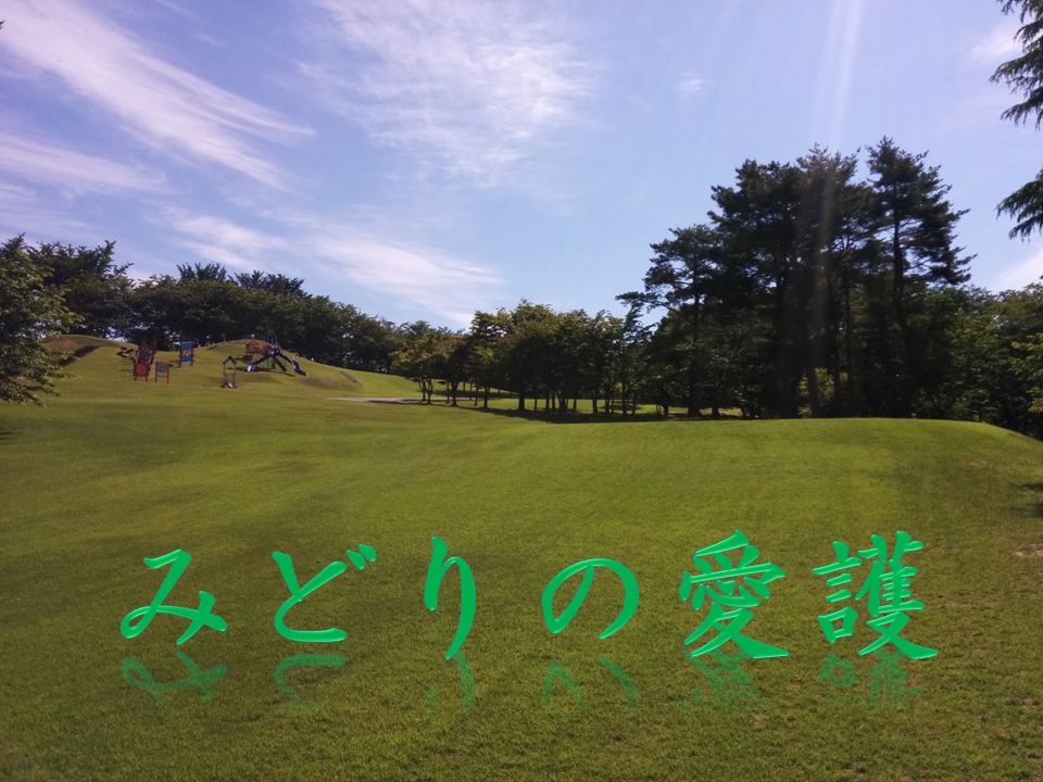 みどり