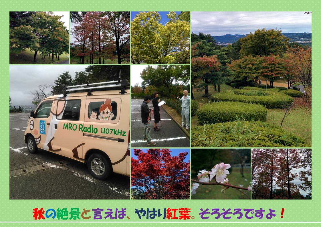 紅葉