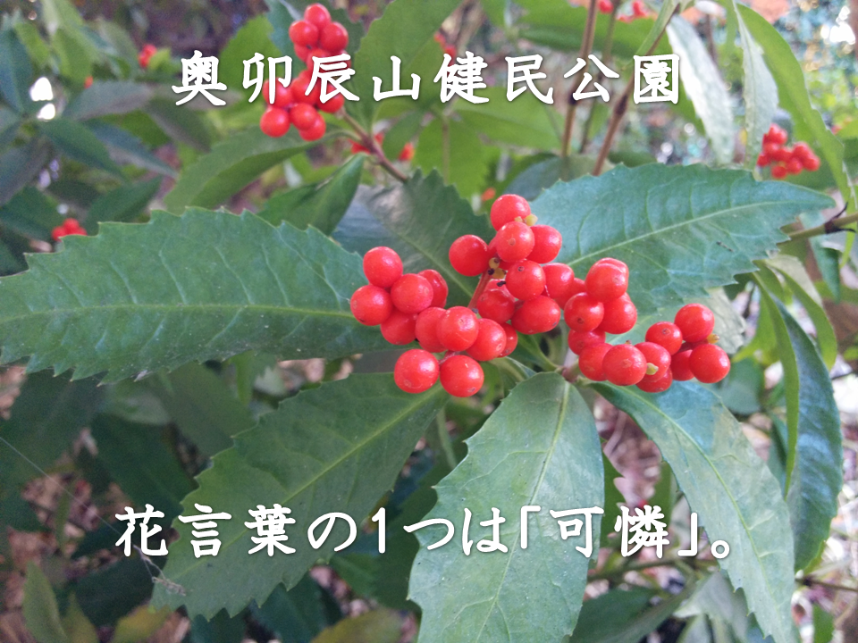 せん