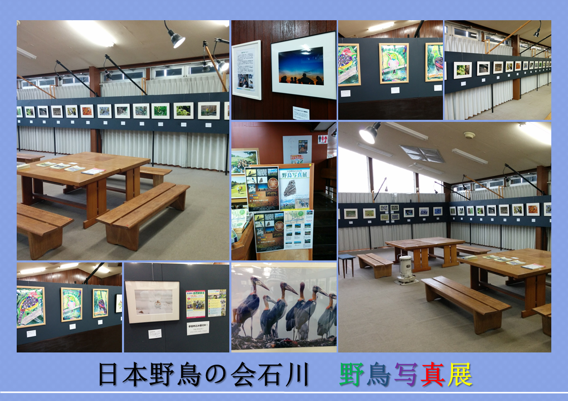 展